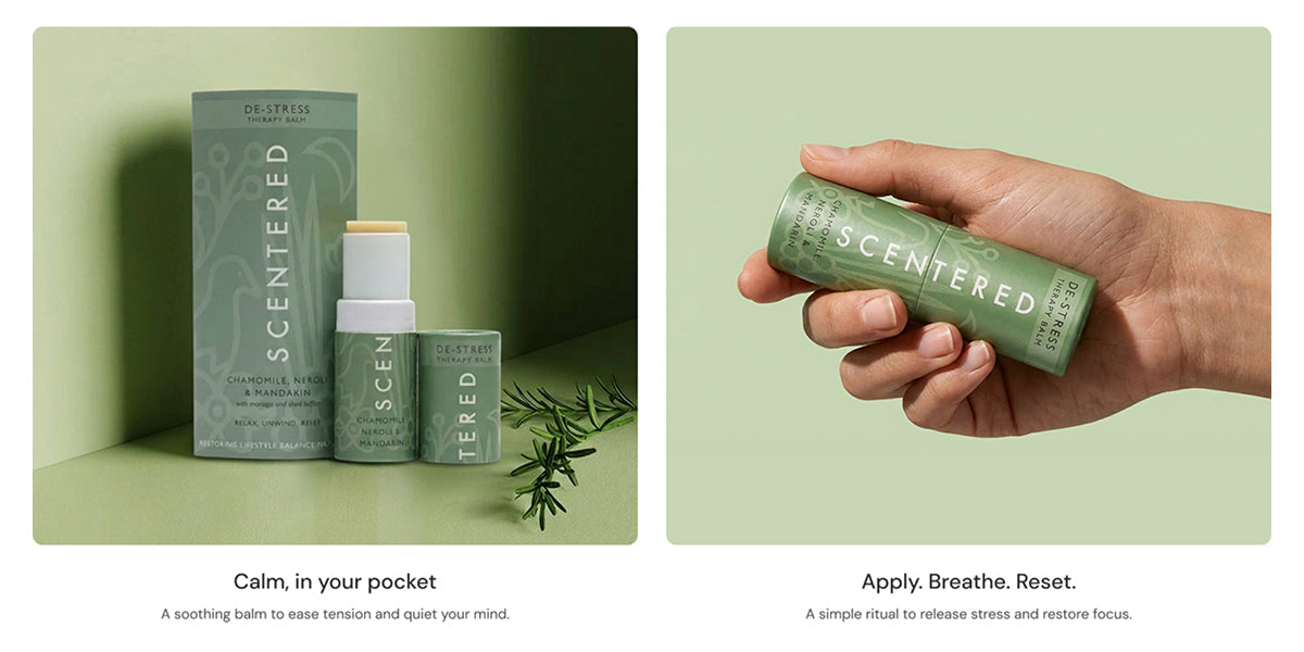 Showcase portability and usage Section for Shopify | Omnise