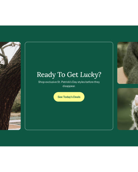 Shop Limited Holiday Deals Section for Shopify | Omnise