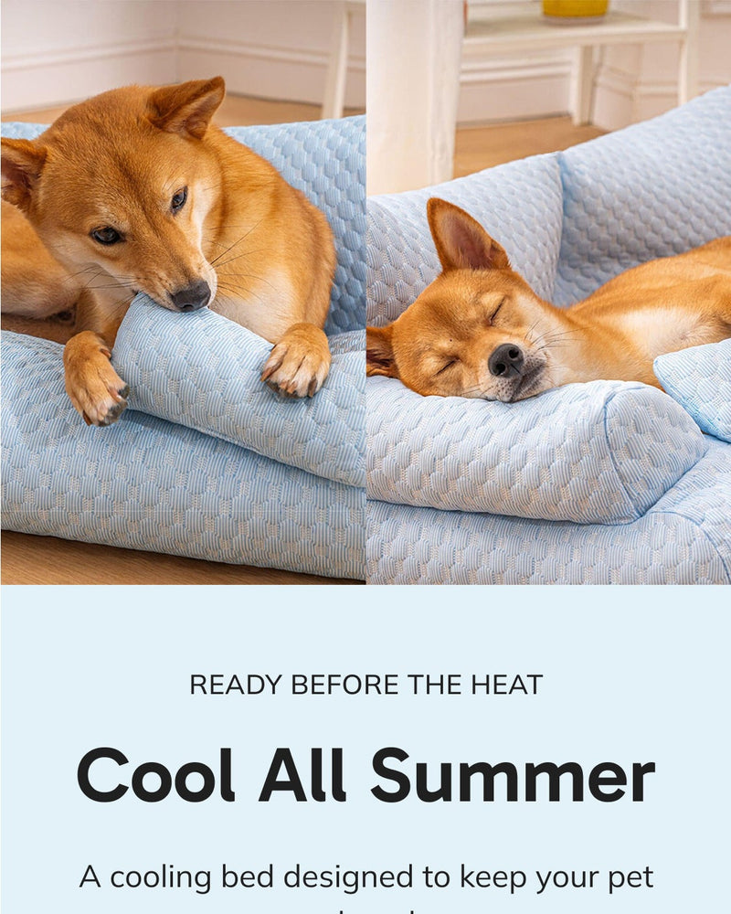 CoolNest - Pets Landing Page Template for Shopify | Omnise
