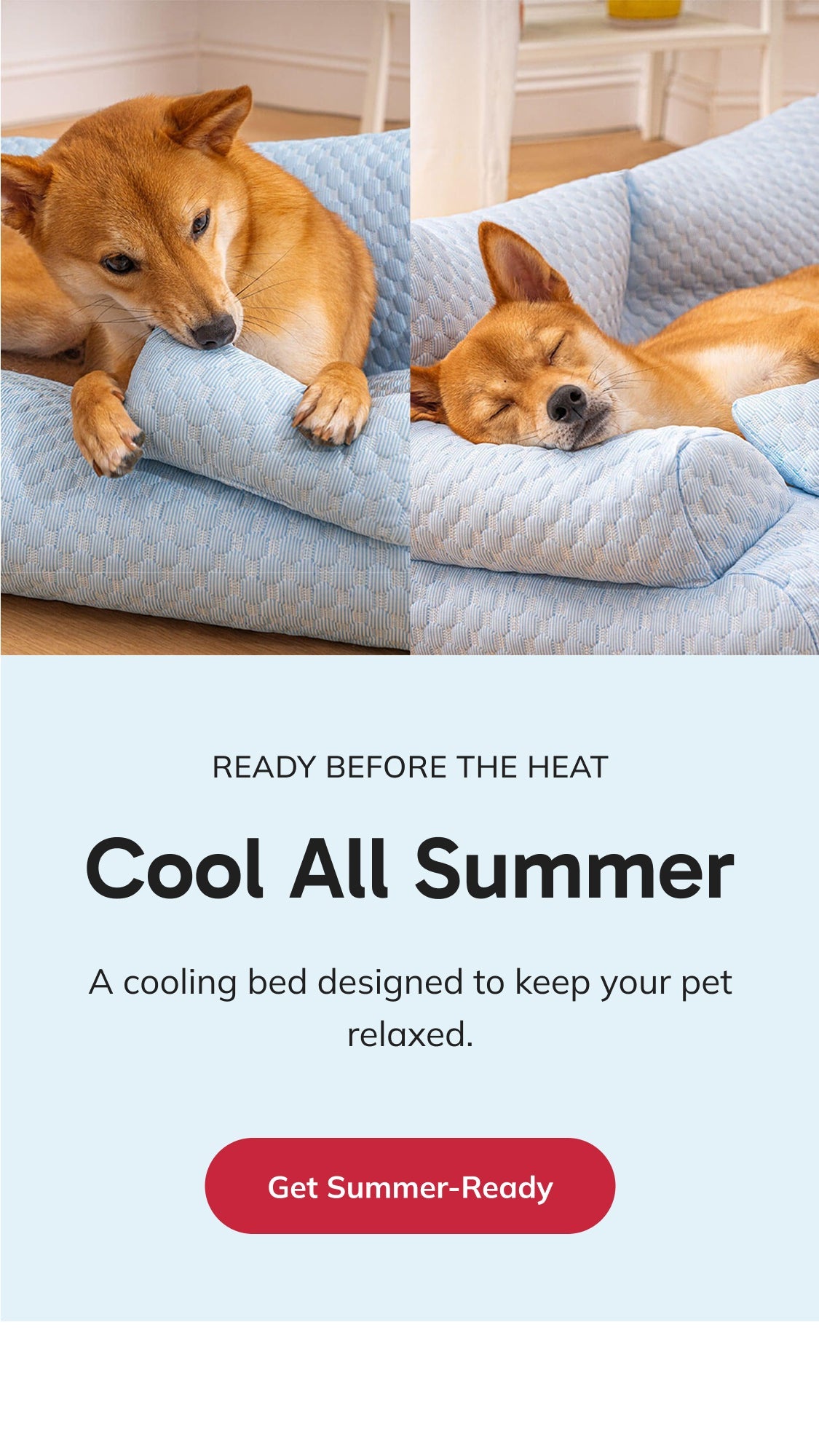 CoolNest Pets Landing Page template for Shopify Pet Store on Mobile view