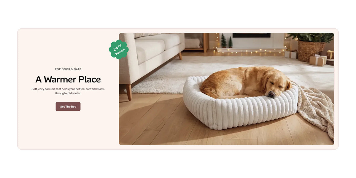 Emphasize the end-result lifestyle Section for Shopify | Omnise