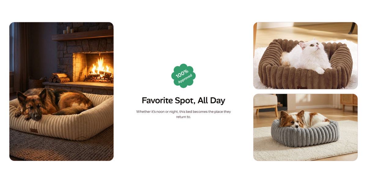 Showcase real-world comfort Section for Shopify | Omnise