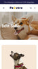 Pawvera - Pets Collection Page Template for Shopify | Omnise