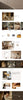 Sorvé - Home Homepage Template for Shopify | Omnise