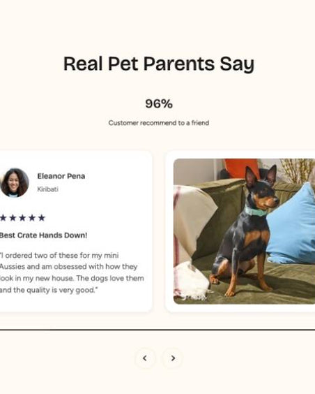 Build social proof at scale Section for Shopify | Omnise