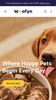 Wofyn - Pets Homepage Template for Shopify | Omnise