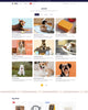 Wofyn - Pets Blog Page Template for Shopify | Omnise