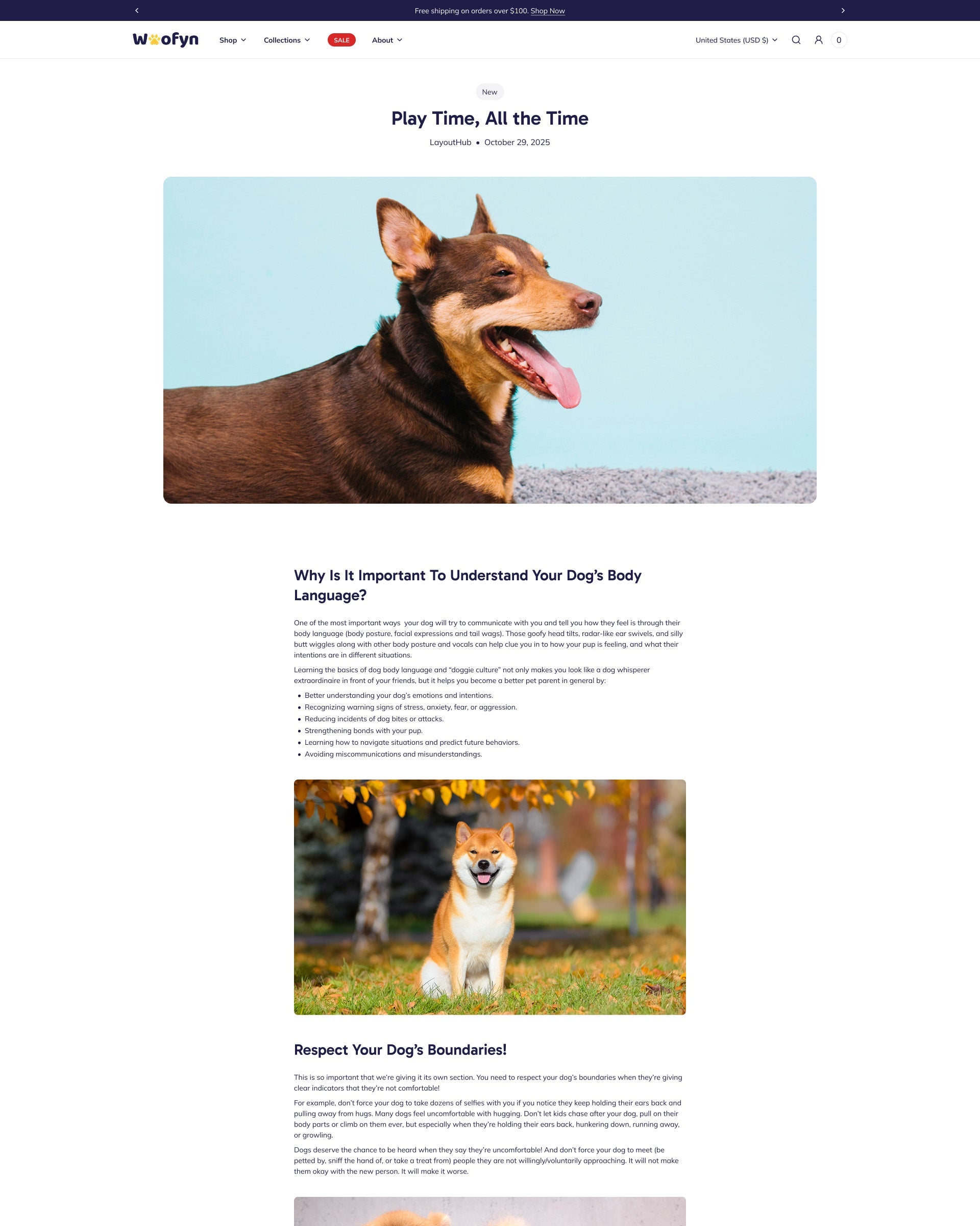 Wofyn Pets Blog Post Page template for Shopify store